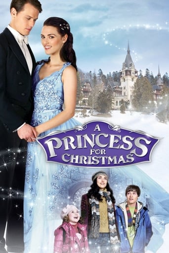 After her sister and brother-in-law's tragic death, an American woman who is the guardian for her young niece and nephew is invited to a royal European castle for Christmas by her late brother-in-law's father, the Duke of Castlebury. Feeling out of place as a commoner, she is determined to give her family a merry Christmas and surprises herself when she falls for a handsome prince.
