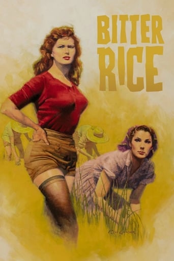 Francesca and Walter are two-bit criminals in Northern Italy, and, in an effort to avoid the police, Francesca joins a group of women rice workers. She meets the voluptuous peasant rice worker, Silvana, and the soon-to-be-discharged soldier, Marco. Walter follows her to the rice fields, and the four characters become involved in a complex plot involving robbery, love, and murder.